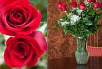Norwegian Cruise Line Gifts & More — Piraeus embarkation flowers